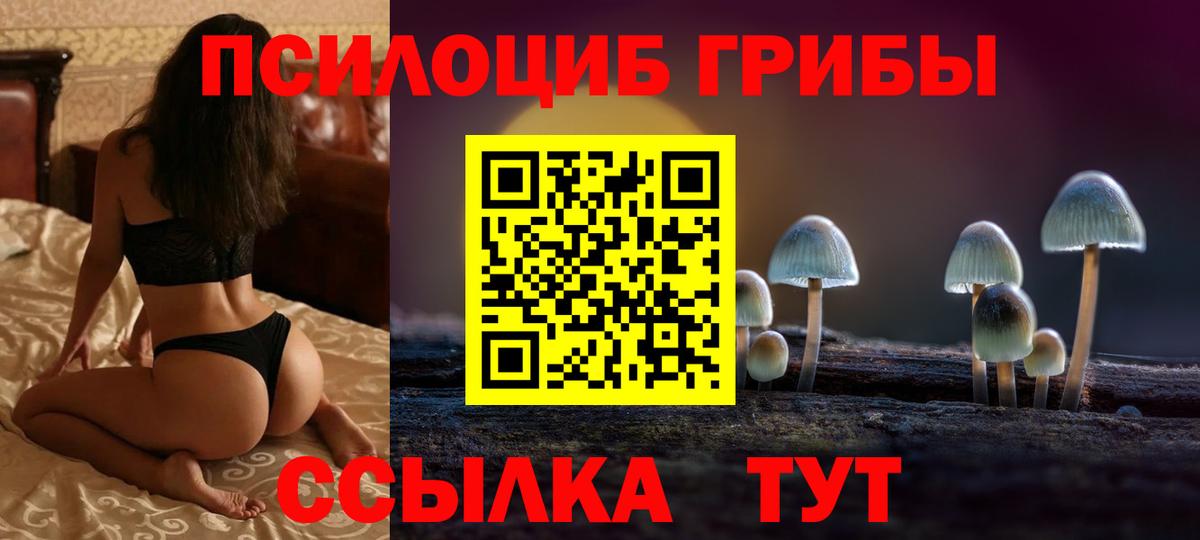 Галлюциногенные грибы Psilocybe  Вход с VPN  Псилоцибиновые грибы MAGIC MUSHROOMS  Нижний Тагил 